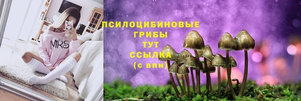 тгк Балахна