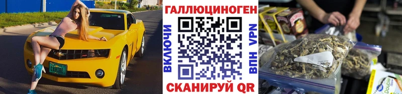 OMG как войти  как найти   Тара  Псилоцибиновые грибы Psilocybe 
